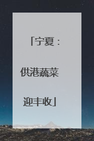 宁夏：供港蔬菜迎丰收
